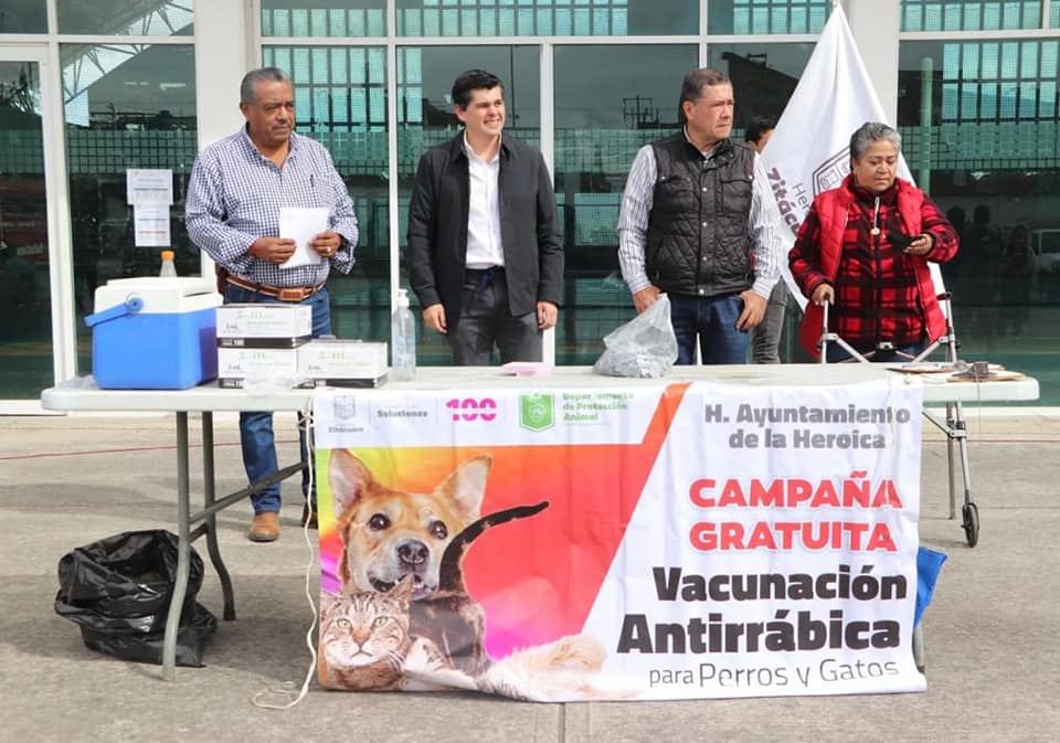 Comieza La Segunda Etapa de la Campaña Gratuita de Vacunación Antirrábica para Caninos y Felinos.