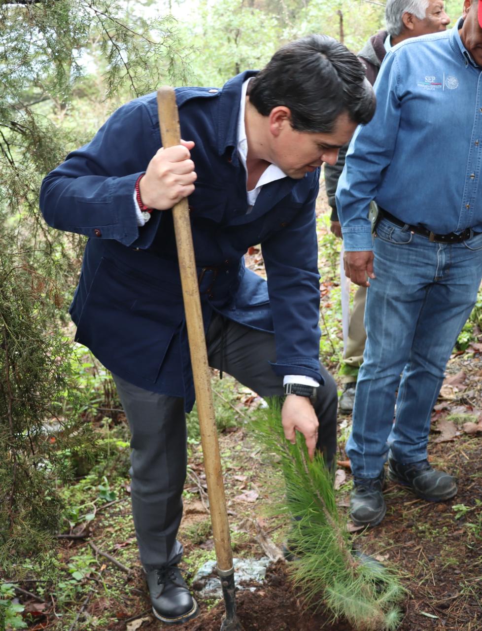 Gobierno de Soluciones sembrará más de medio millón de árboles 